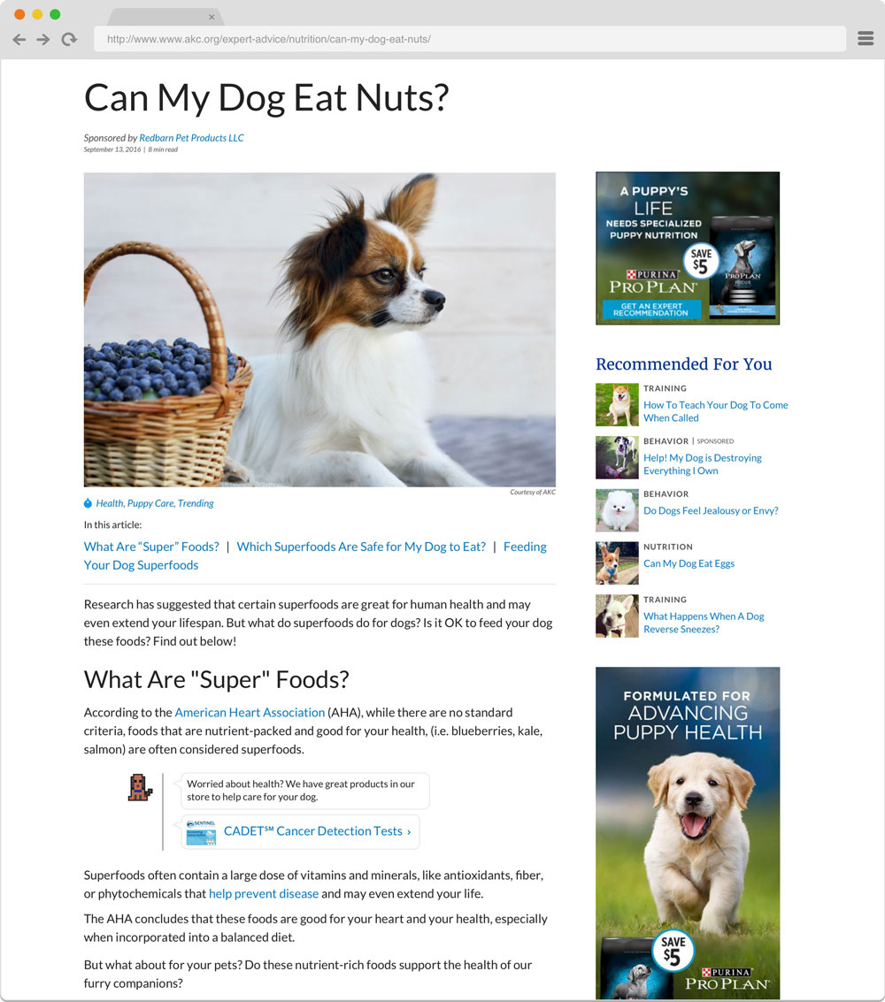 Screenshot of an article on AKC titled, "Can my dog eat nuts?"