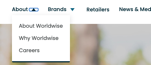 Worldwise.com screenshot showing the About dropdown open. The arrow icon next to About has an accessible focus ring indicating it is being focused on.